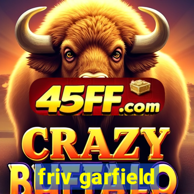friv garfield